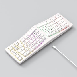 Human Ergonomics Wired 69-Key Compact Keyboard with RGB Backlighting, Transparent Gaming Design, Portable and Comfortable for Home Office Use, USB Powered, Gaming Keyboard, Ergonomic Keyboard, Modern Keyboard